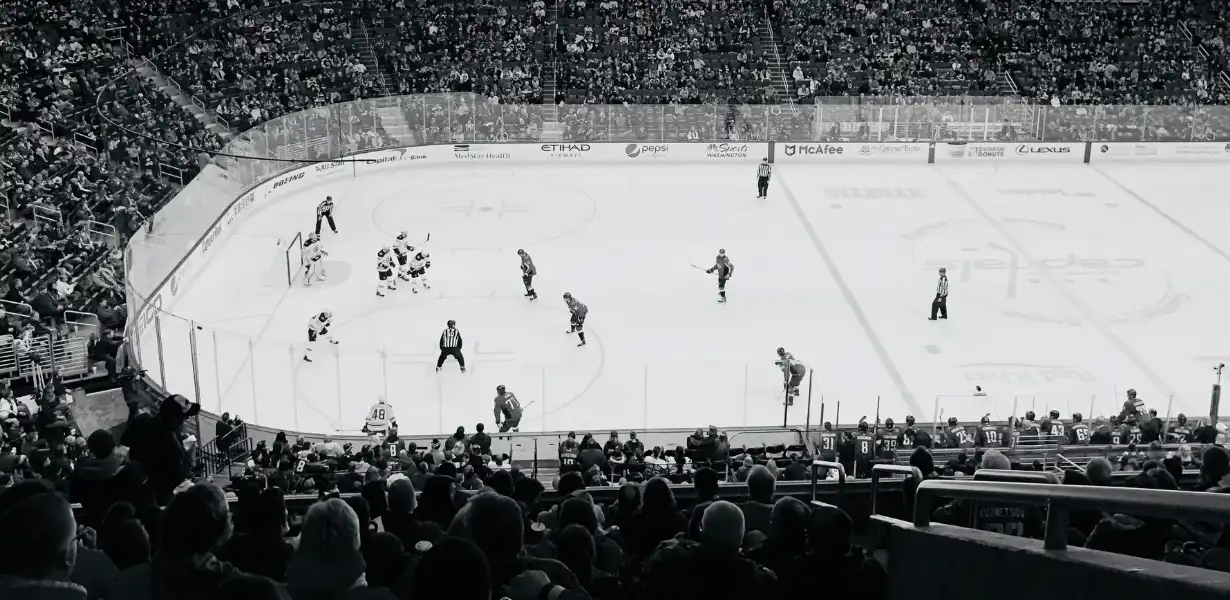 backcheck backchecking basics