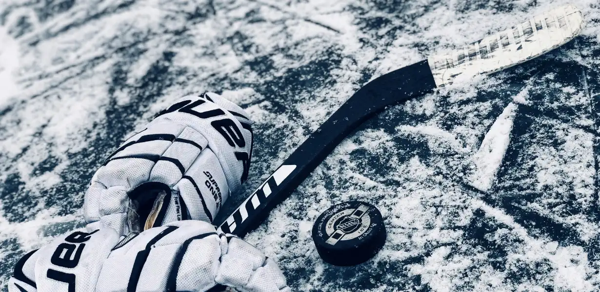 Budget Gear vs. Pro-Level Gear