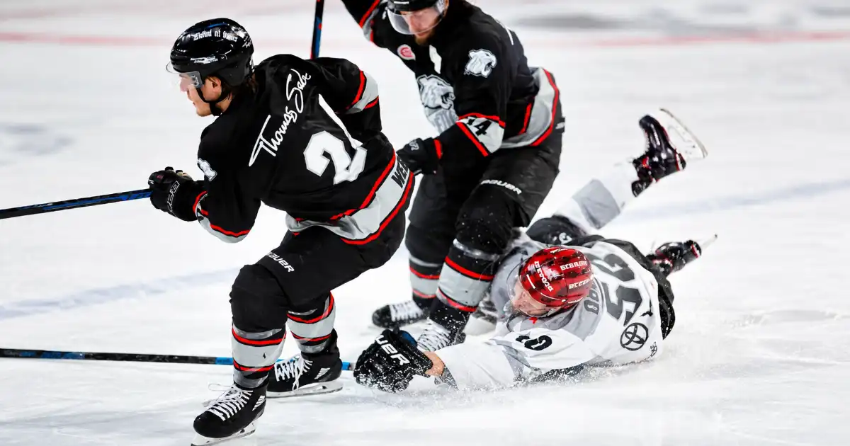 embellishment in hockey