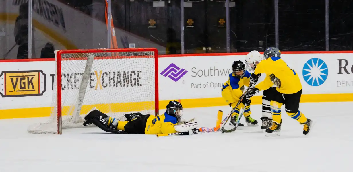 goalies judged why goalies are judged differently than skaters