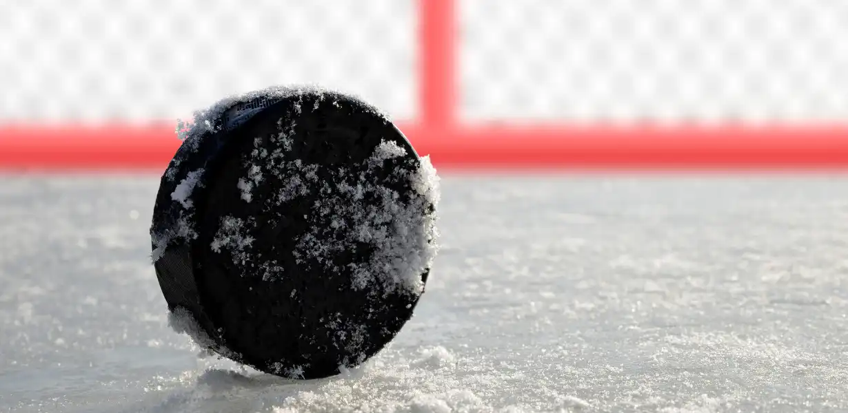 hockey puck