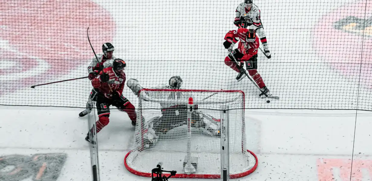 goaltender interference