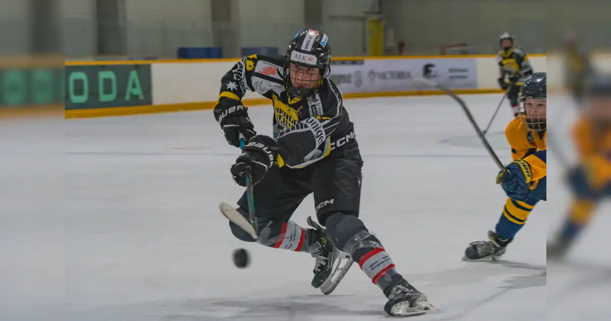 snapshot, slapshot