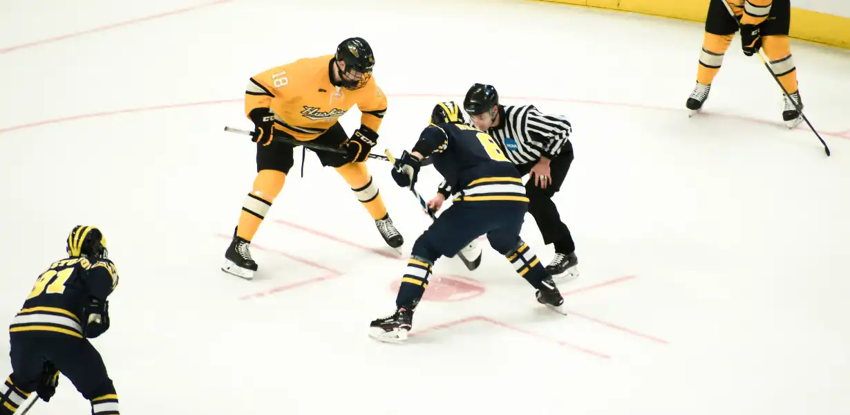 puck being unplayable leads to a faceoff